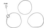 Replacement Sealing Gasket - Profile - for 27 L-Double-Column/Plant Basket-Still